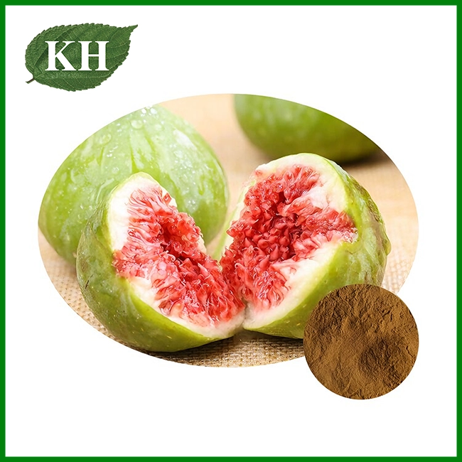 Fig Extract Fig Extract